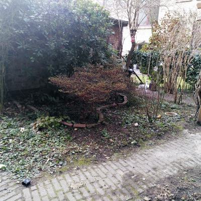 Vorher 2